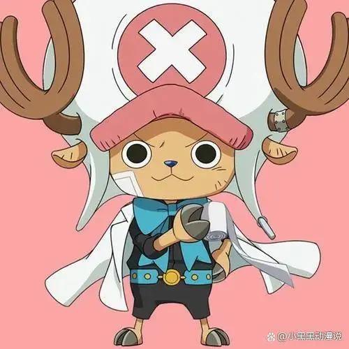 海贼王人物介绍乔巴