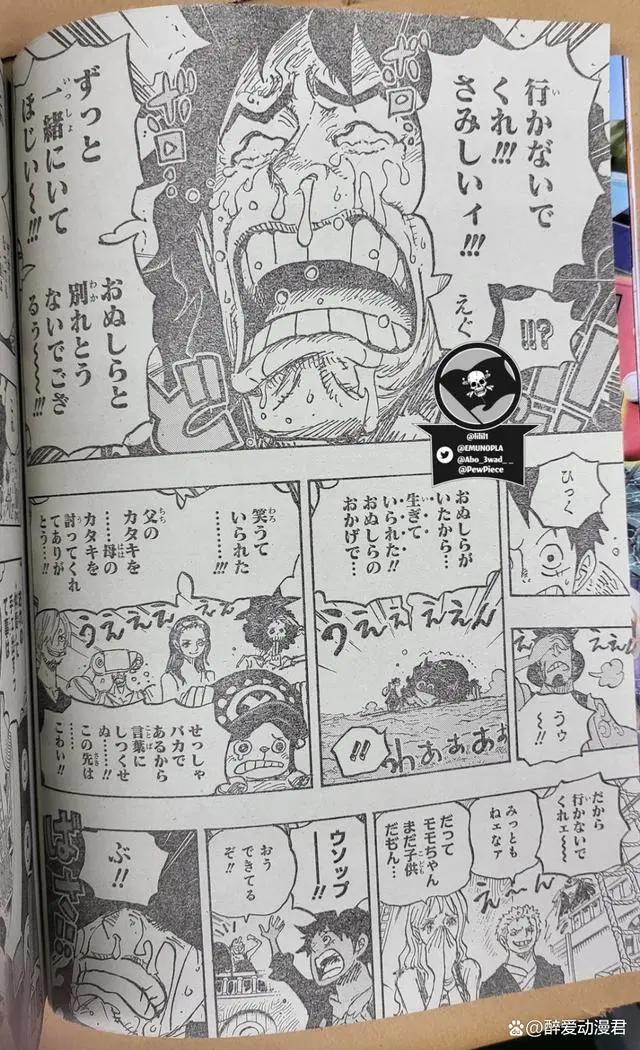 海贼王1057话全图，三大海贼团从瀑布下海，路飞留下海贼旗