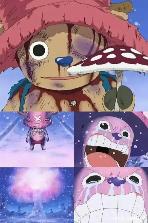 日本热血冒险经典动漫之《海贼王》