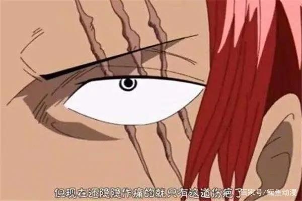 海贼王：盘点海贼中最强实力排行榜最强海贼竟然有两人？！