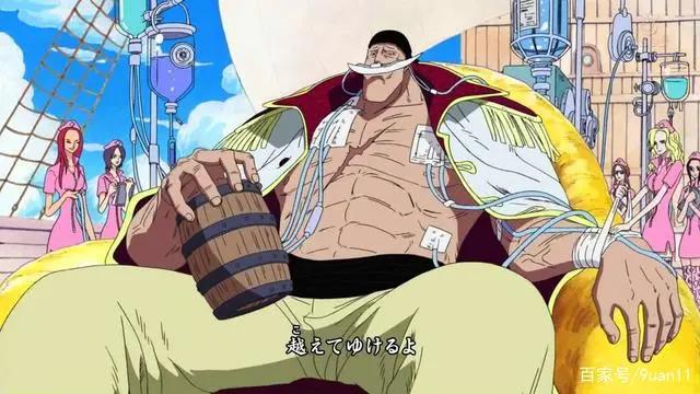 海贼王官方设定的中的16个“海贼王之最”