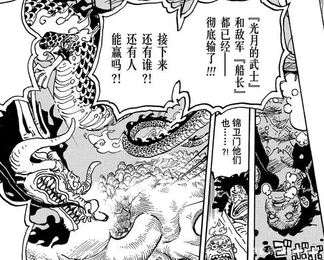 海贼王1014话：路飞落海身亡？罗：海里有我的潜水艇