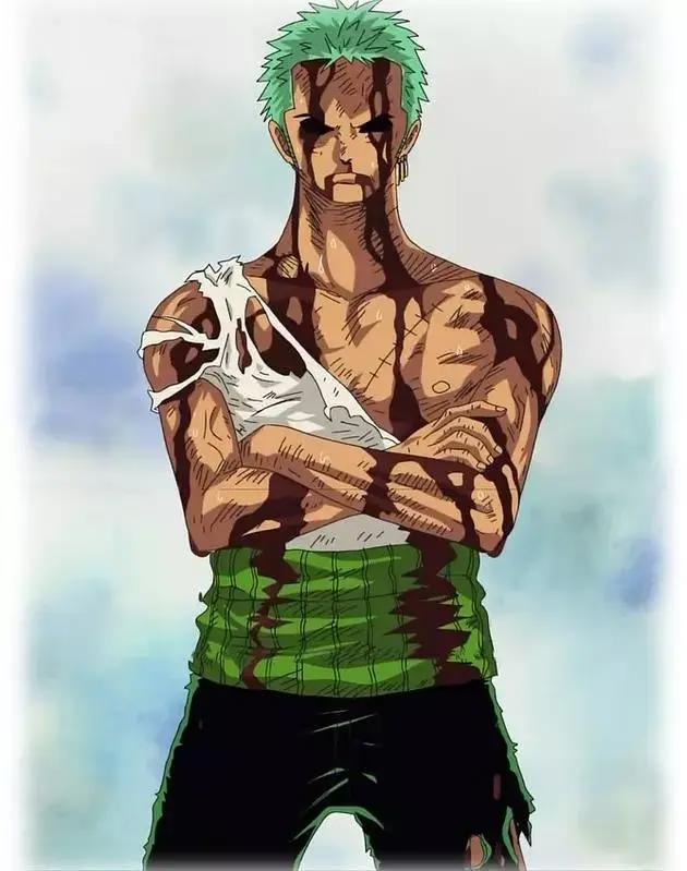 海贼王:草帽一族的羁绊,每一人的梦想融汇成那个未来的海贼王