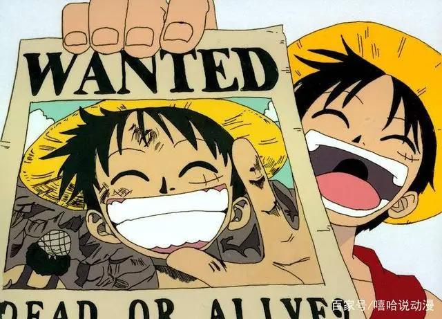 海贼王中最适合当海贼王的人，这两位才是真正的海贼