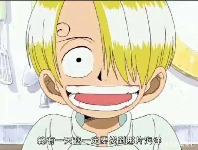 海贼王：终极梦想！