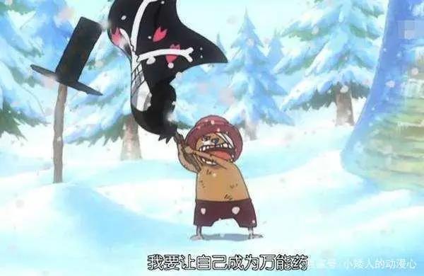 海贼王：终极梦想！