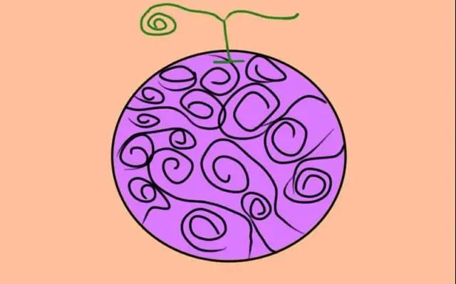 海贼王：路飞穿越回800年，他就是独一无二的joyboy！