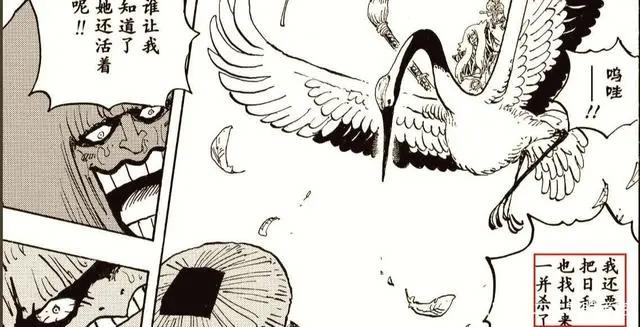 海贼王：漫漫人生路！