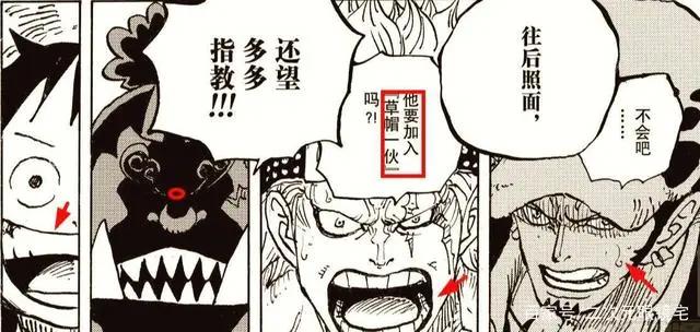 海贼王:漫漫人生路!