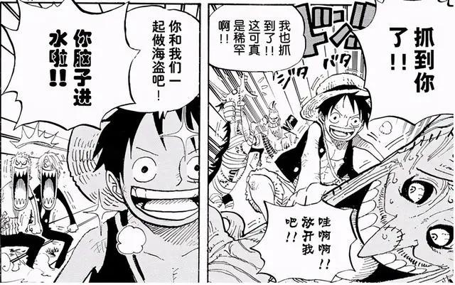 海贼王：拒绝路飞上船邀请的8人，2位是船医，1位是怪物