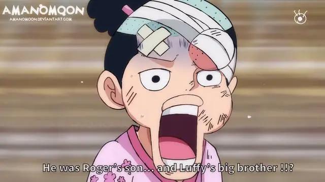 海贼王1014话情报：凯多目送路飞掉入大海，乔巴正面迎战奎因