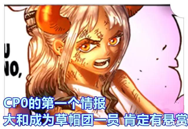 海贼王1016话，CP0获得四大情报并成为赢家，黄猿计划第二轮出击