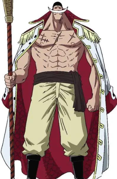 海贼王：曾经的王者——洛克斯海贼团