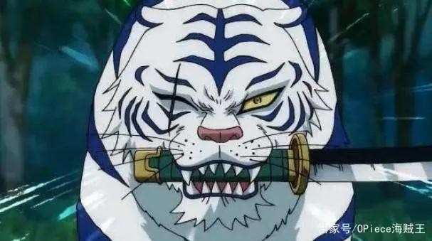 海贼王动漫组原创的12位角色，原来尾田的漫画中根本没有这些人！