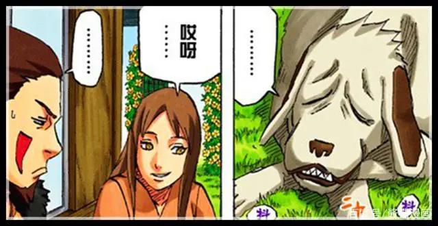 博人传107集：犬冢牙与养忍者猫的女友打架，志乃曾送奇怪的图鉴