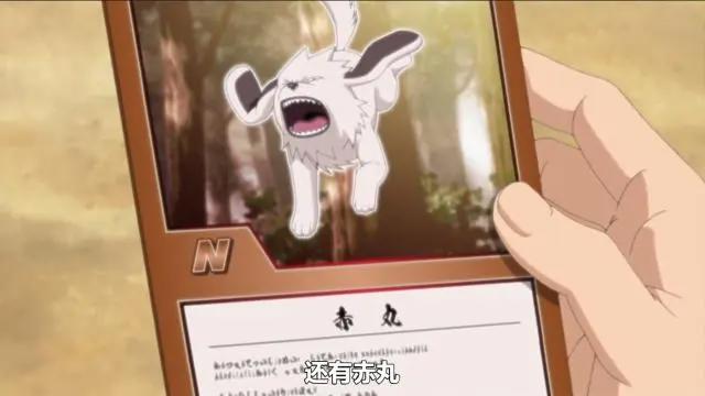 《博人传》114集，小李和志乃成最惨忍者，地位比忍犬赤丸还低！