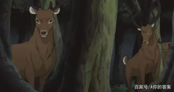 火影忍者：奈良一族名字里为何都有个“鹿”字？跟这些宝贝有关