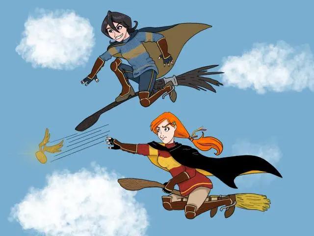 死火海的哈利波特之旅：主角团乱入四大学院，魁地奇比赛战斗激烈