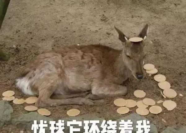 再这样下去就要饿肚子了！疫情下奥地利旅游业、免税店惨不忍睹