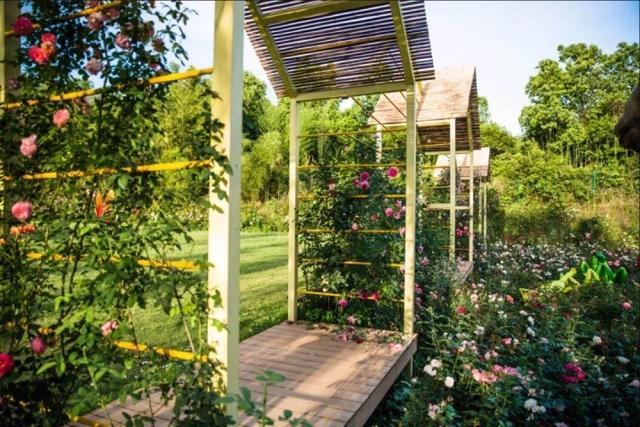 五一假期去哪玩？看这份攻略就够了！云上嘉年华、宋韵游园、水果采摘……不出远门，也能畅玩！