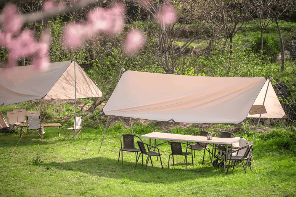 五一假期去哪玩？看这份攻略就够了！云上嘉年华、宋韵游园、水果采摘……不出远门，也能畅玩！