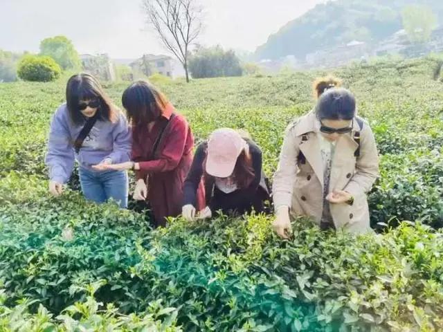 五一假期去哪玩？看这份攻略就够了！云上嘉年华、宋韵游园、水果采摘……不出远门，也能畅玩！