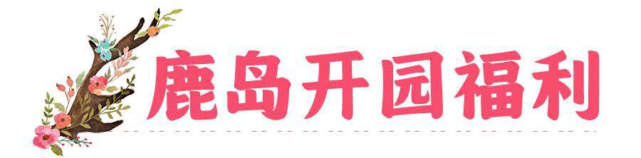 花星球新春鹿岛游园会盛大开园！全国女士门票免费送