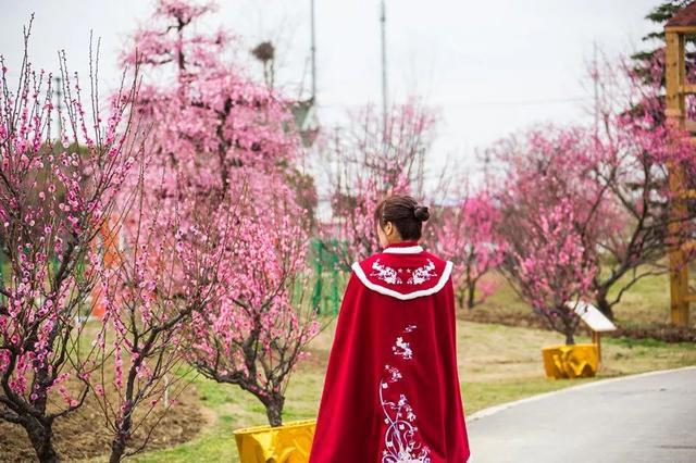 花星球新春鹿岛游园会盛大开园！全国女士门票免费送