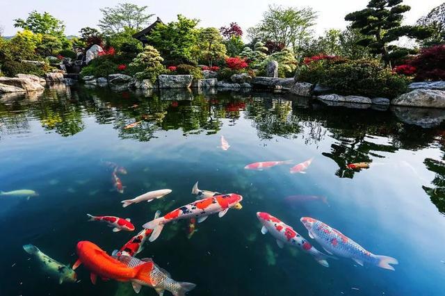 花星球新春鹿岛游园会盛大开园！全国女士门票免费送