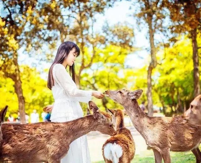 花星球新春鹿岛游园会盛大开园！全国女士门票免费送！