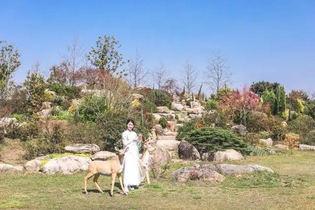 花星球新春鹿岛游园会盛大开园！全国女士门票免费送！