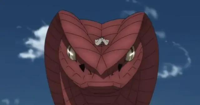 博人收服最强通灵兽辛牙，辛牙惨遭人类背叛，九尾未来一片坎坷