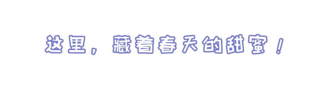福利｜门票免费送！德阳一环路边千亩芝樱已经花开成海！还可戏鹿、玩滑道……