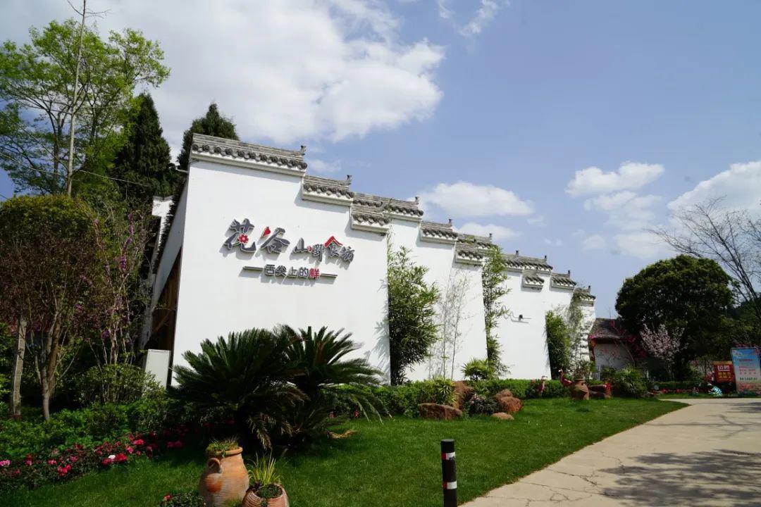 福利｜门票免费送！德阳一环路边千亩芝樱已经花开成海！还可戏鹿、玩滑道……