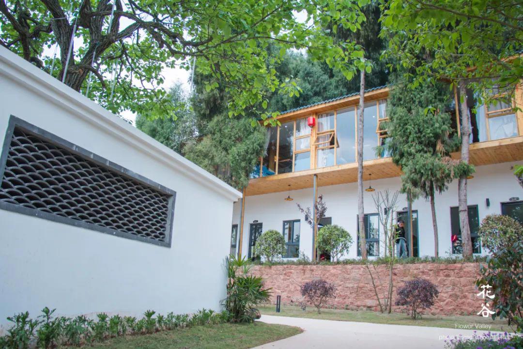 福利｜门票免费送！德阳一环路边千亩芝樱已经花开成海！还可戏鹿、玩滑道……