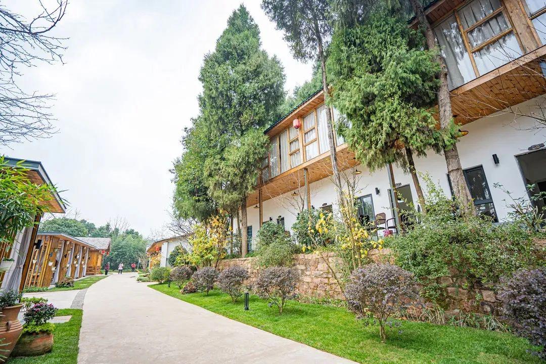 福利｜门票免费送！德阳一环路边千亩芝樱已经花开成海！还可戏鹿、玩滑道……