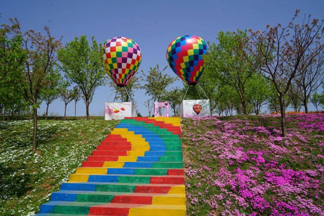 福利｜门票免费送！德阳一环路边千亩芝樱已经花开成海！还可戏鹿、玩滑道……