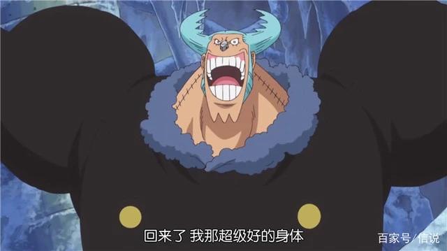 海贼王，感觉罗宾也是乔巴控，帮助乔巴维护平时的形象