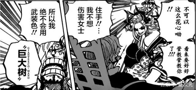 海贼王1005：罗宾酱，救我啊