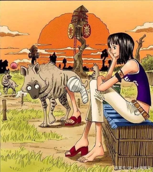 海贼王漫画扉页之罗宾酱！请查收一枚可爱又腹黑的草帽女神