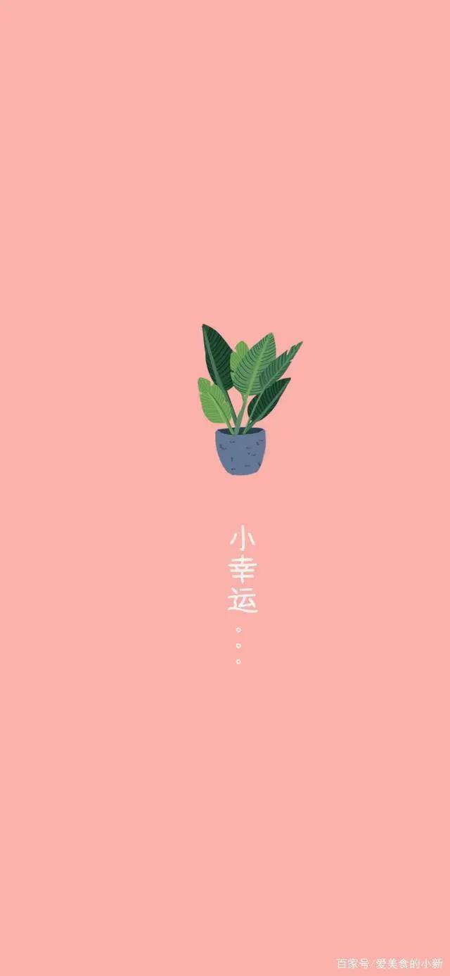 「分享壁纸」呆萌治愈可爱动漫壁纸
