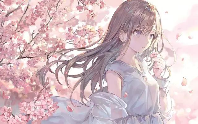 动漫美女每日更新