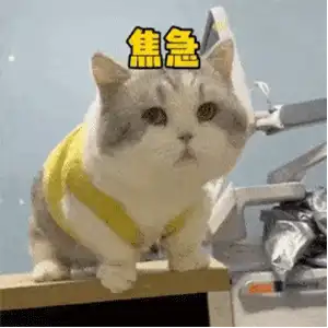 第5期｜动漫壁纸/头像合集
