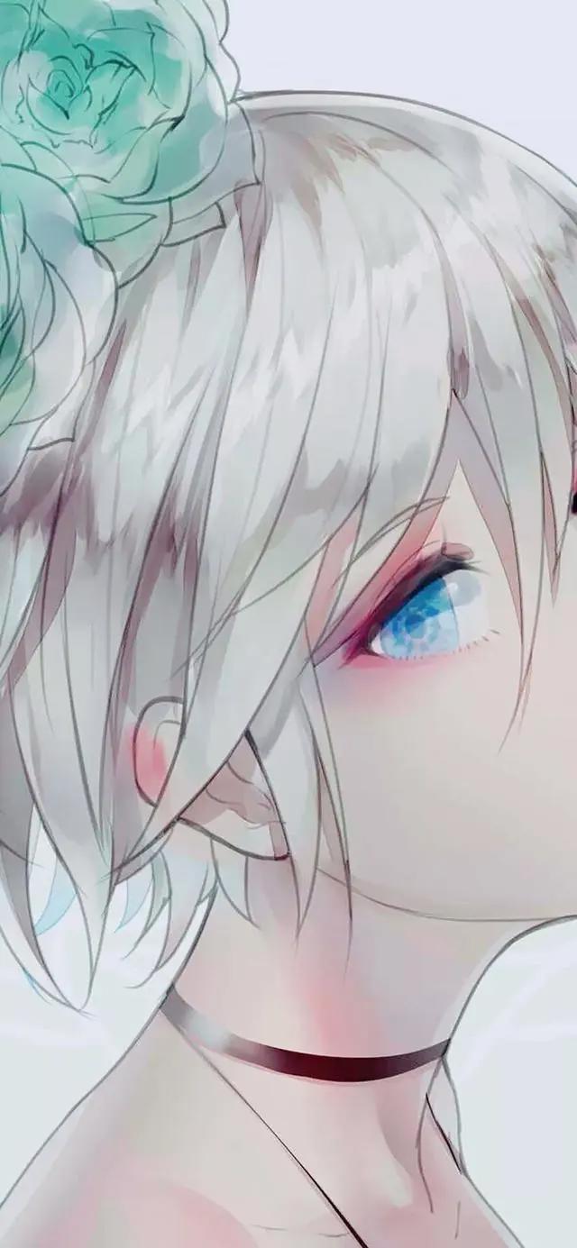 壁纸丨不一样的动漫壁纸来签收