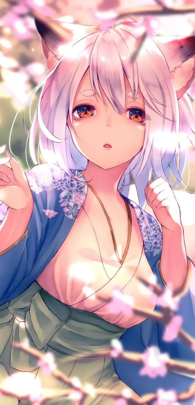 动漫壁纸推荐第一期