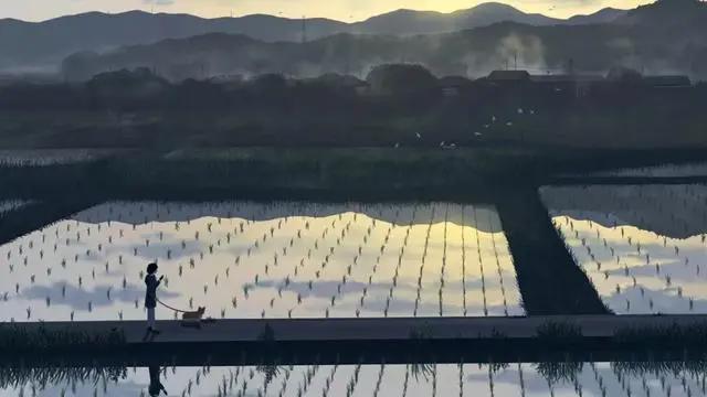 二次元动漫：超清精美壁纸，每一张图片都是一个神清气爽的风景