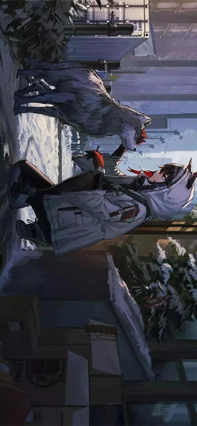 动漫壁纸，手机锁屏，全面屏高清壁纸