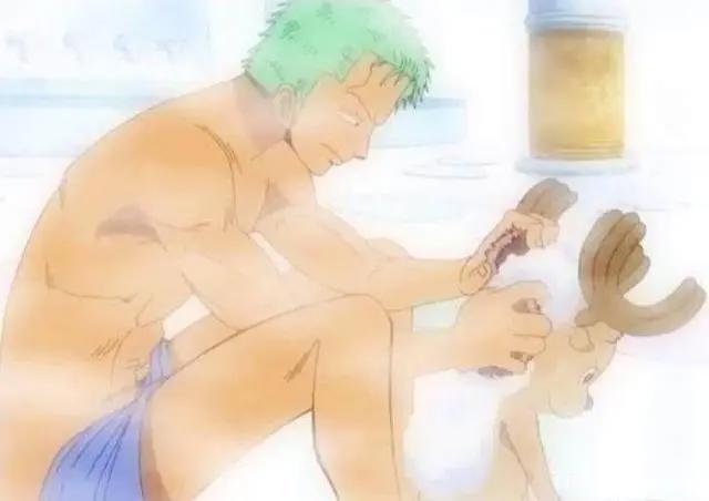 海贼王：草帽团最佳副船长索隆，对乔巴贴心，鹰眼的高徒