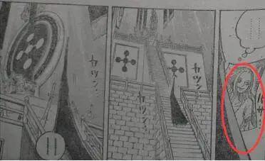 海贼王908话：白星被天龙人抹杀，薇薇拥有古代兵器“冥王”！