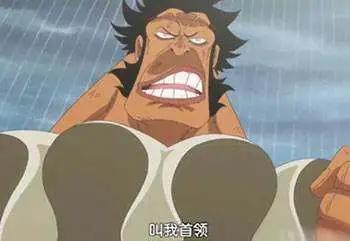 《海贼王》906话：白星被天龙人看上，路飞的草帽是假货！